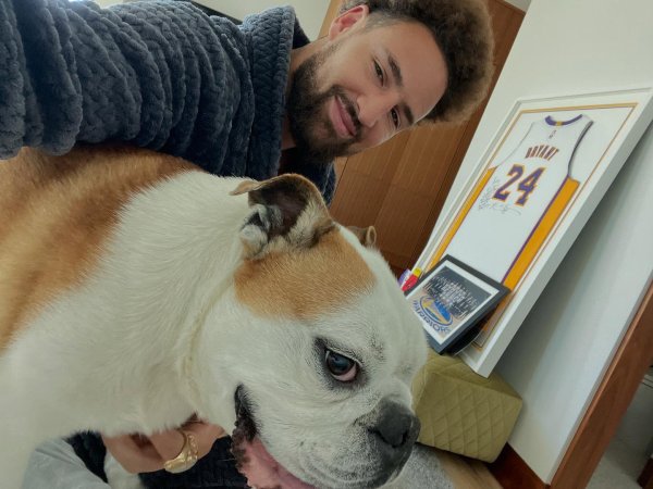 😭Clay said goodbye to Rocco: A great dynasty dog~ I will miss you very much